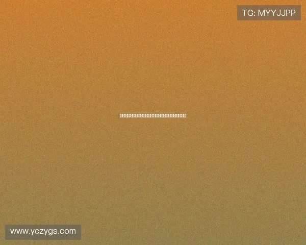 贝尔纳多席尔瓦如何凭智慧与技术成为曼城中场的灵魂核心