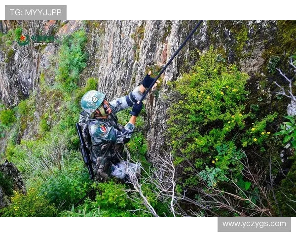 LNG战队边路渗透战术解析与应用探讨