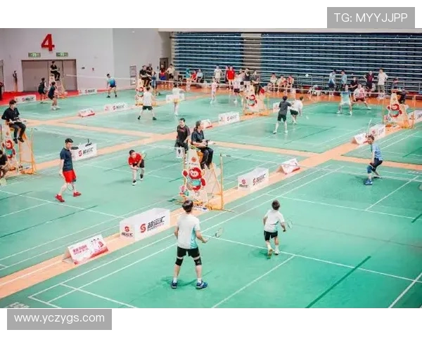 南京羽毛球队阵地战革新探索与实践的深度解析与展望 南京羽毛球队阵地战革新探索与实践的深度解析与展望