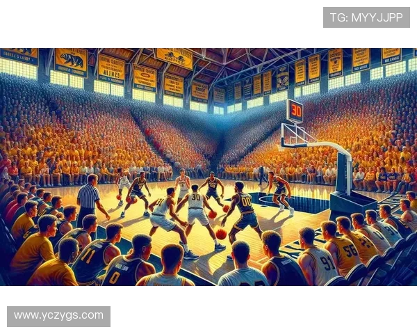 对话黄静:回顾网球生涯的辉煌与挑战与未来展望 对话黄静:回顾网球生涯的辉煌与挑战与未来展望