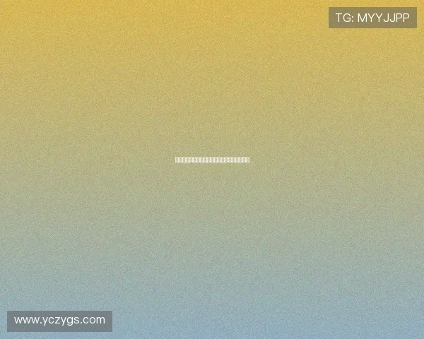 深圳篮球队崛起之路联合会杯背后的奋斗与荣耀